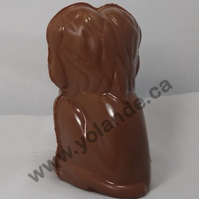 Moule à chocolat de Pâques - Lion 3d (D-A297)