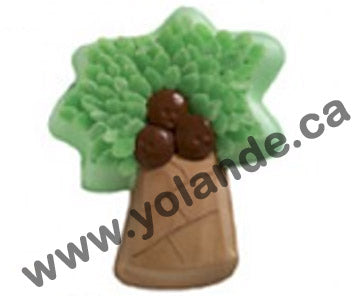 Palmier - Divers - 2105-1013