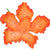 Fleur en pastillage - Cymbidium - Orange - 2 7/8"