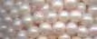 Perle en sucre - Nacré - 4mm