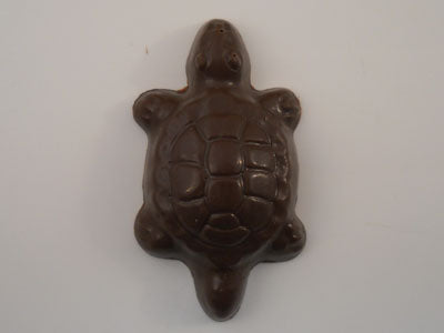 Moule à chocolat - Tortue - Bouchée - Mer (B-A57)