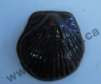 Moule à chocolat - Coquillages - Bouchée - Mer (B-A75)