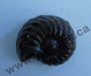 Moule à chocolat - Coquillages - Bouchée - Mer (B-A75)