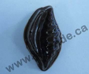 Moule à chocolat - Assortiments de coquillages (20) - Bouchée - Mer (B-A76)