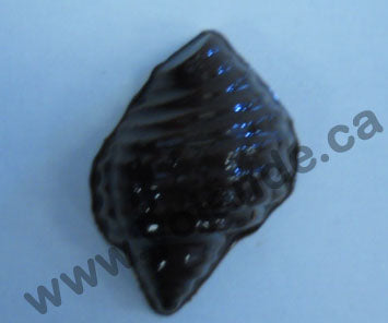 Moule à chocolat - Assortiments de coquillages (20) - Bouchée - Mer (B-A76)