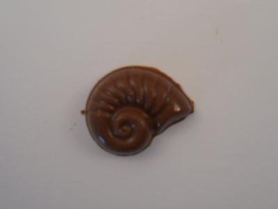 Moule à chocolat - Assortiment de coquillages et d'étoiles de mer - Bouchée - Mer (B-A89)