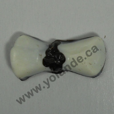 Moule à chocolat Graduation - Diplôme - Bouchées (B-E05)