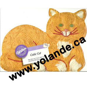 Chat - Animaux - 2105-9424