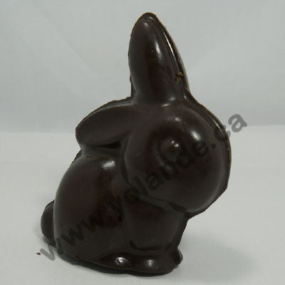 Moule à chocolat de Pâques - Lapin 3d (D-P104)