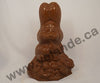 Moule à chocolat de Pâques - Lapin 3d (D-P186)