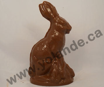 Moule à chocolat de Pâques - Lapin 3d (D-P221)