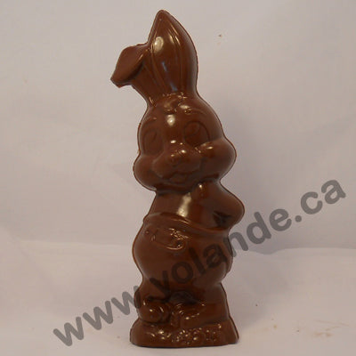 Moule à chocolat de Pâques - Lapin debout 3D (D-P285)
