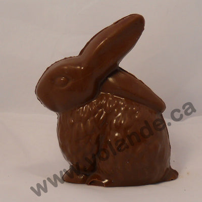 Moule à chocolat de Pâques - Lapin 3d (D-P92)