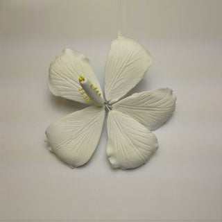Fleur pastillage, Hibiscus Blanche 3 1/2"