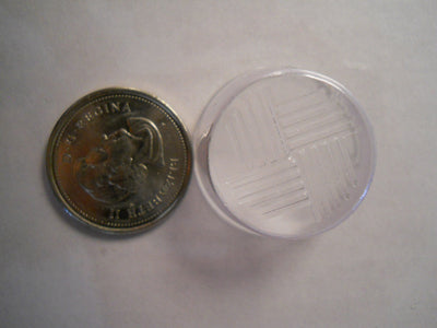 Moule à chocolat - Ronde - Bouchée (B-I17)