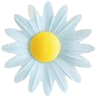 Marguerite en azyme blanche (MABLANC) (qté 6)