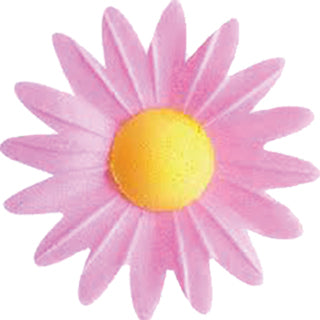 Marguerite en azyme Rose pâle (MAROSE) (qté 6)