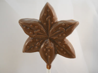 Moule à chocolat Fleur - Jonquille sur bâton - Suçon (S-F57)