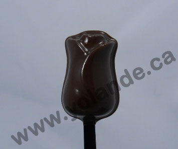 Moule à chocolat Cuillère (S-K10)
